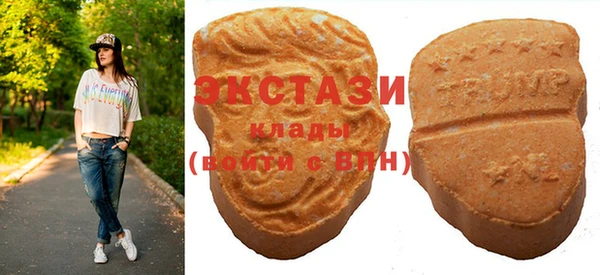 шишки Гусиноозёрск