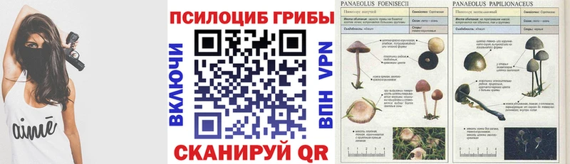 Галлюциногенные грибы Psilocybine cubensis  наркота  Прохладный 
