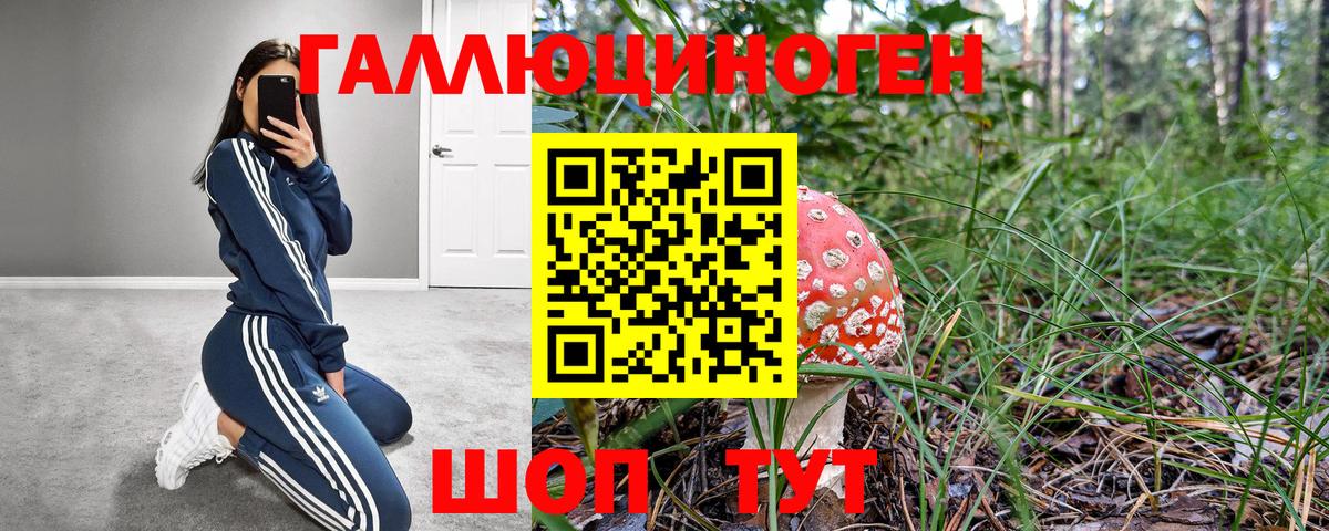 Галлюциногенные грибы Psilocybe  Псилоцибиновые грибы MAGIC MUSHROOMS  Прохладный  Вход с VPN 
