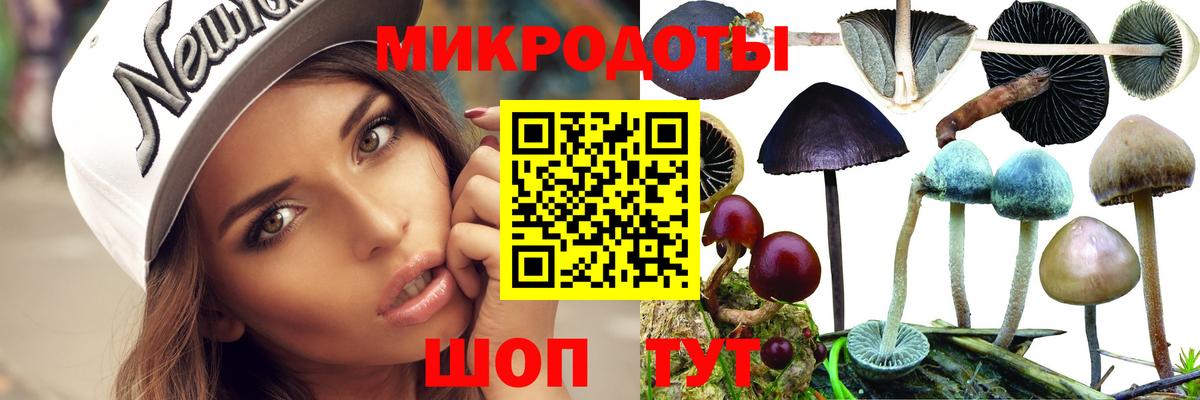 Галлюциногенные грибы мицелий Прохладный