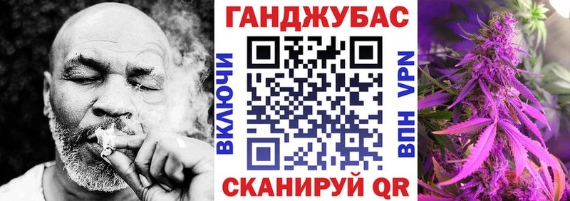 где купить   Прохладный  Конопля сатива 