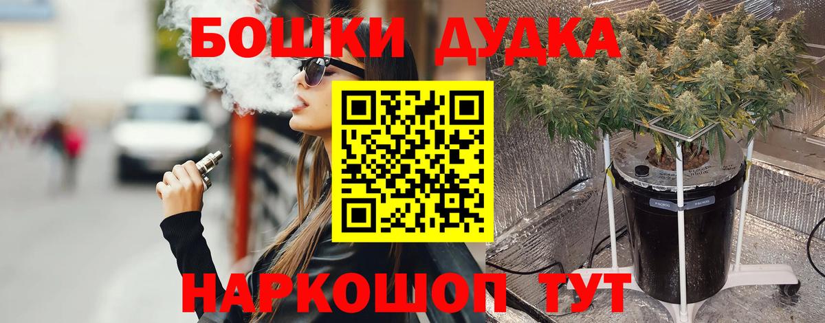 Канабис индика  Каннабис план  Вход с VPN  Прохладный  Шишки марихуана OG Kush  Марихуана план 